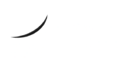 WP Tweety Designs